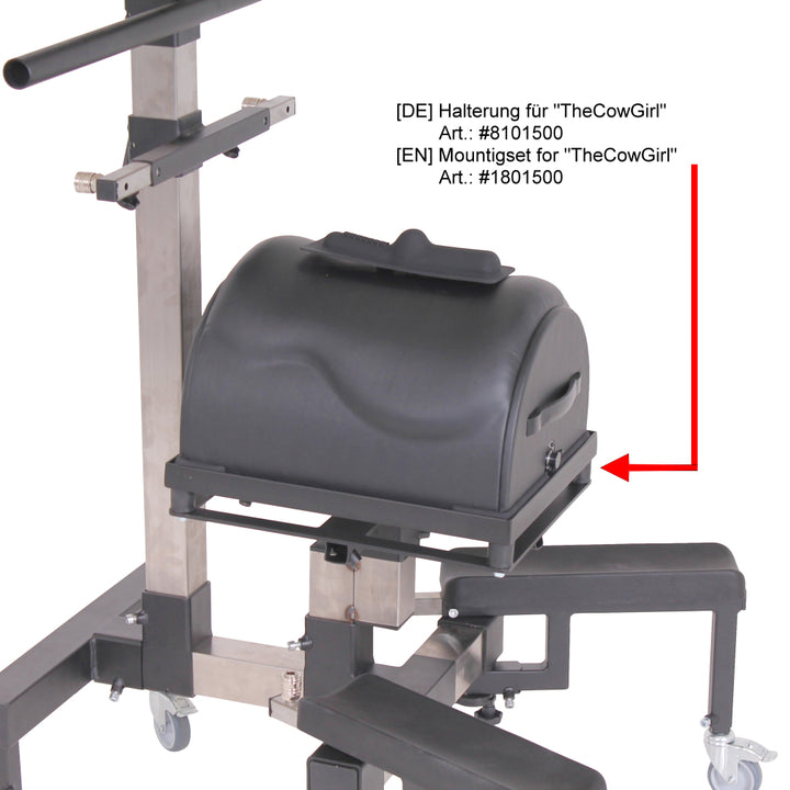 Universal PowerBase – Cowgirl, Motorbunny & Sybian Mounting Platform
