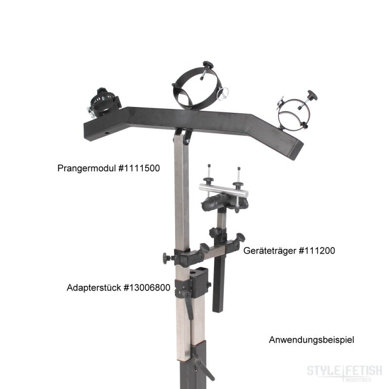 Penis pillory